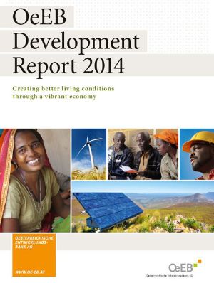 Development Report 2014
