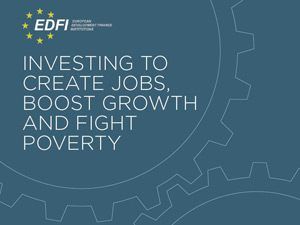 EDFI Flagship Report 2016