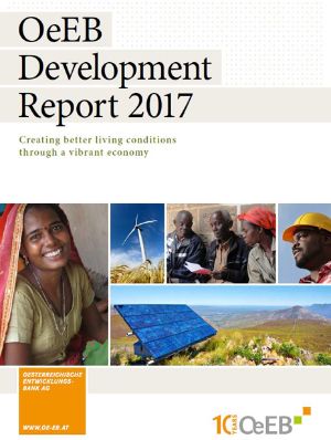 Development Report 2017