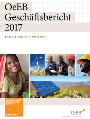 Geschäftsbericht 2017